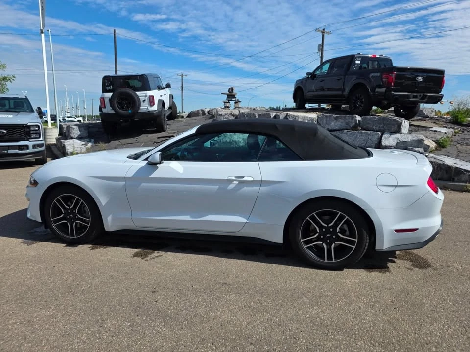 2023 Ford S550 Mustang - Image 4 of 19