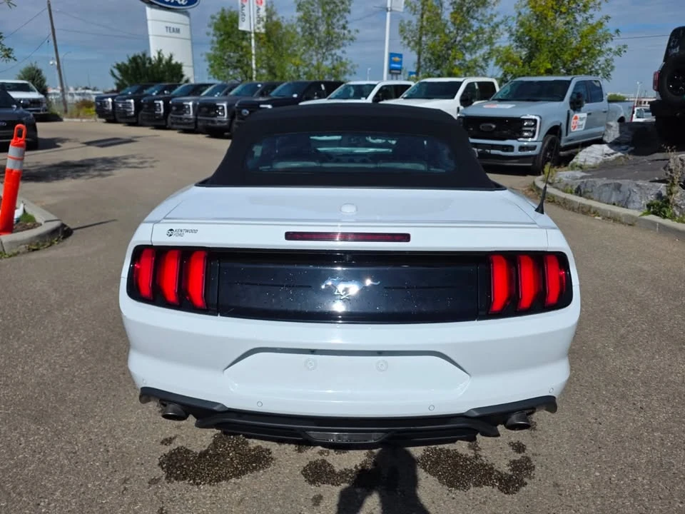 2023 Ford S550 Mustang - Image 9 of 19