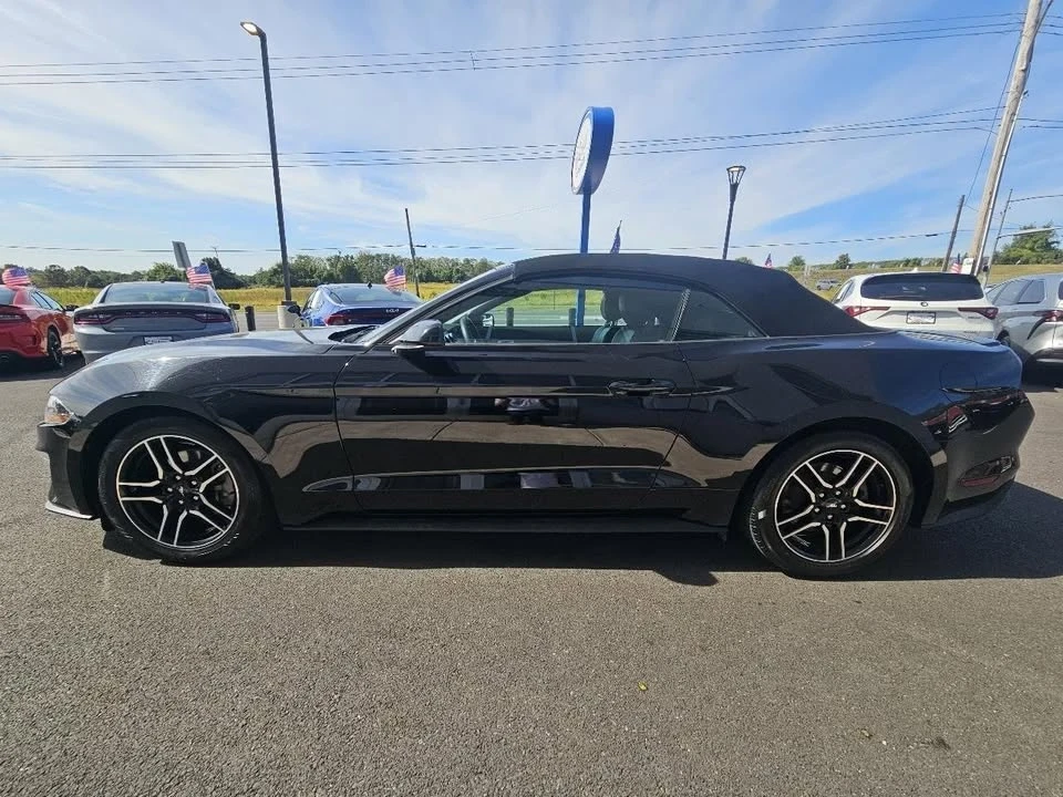 2023 Ford S550 Mustang - Image 7 of 20