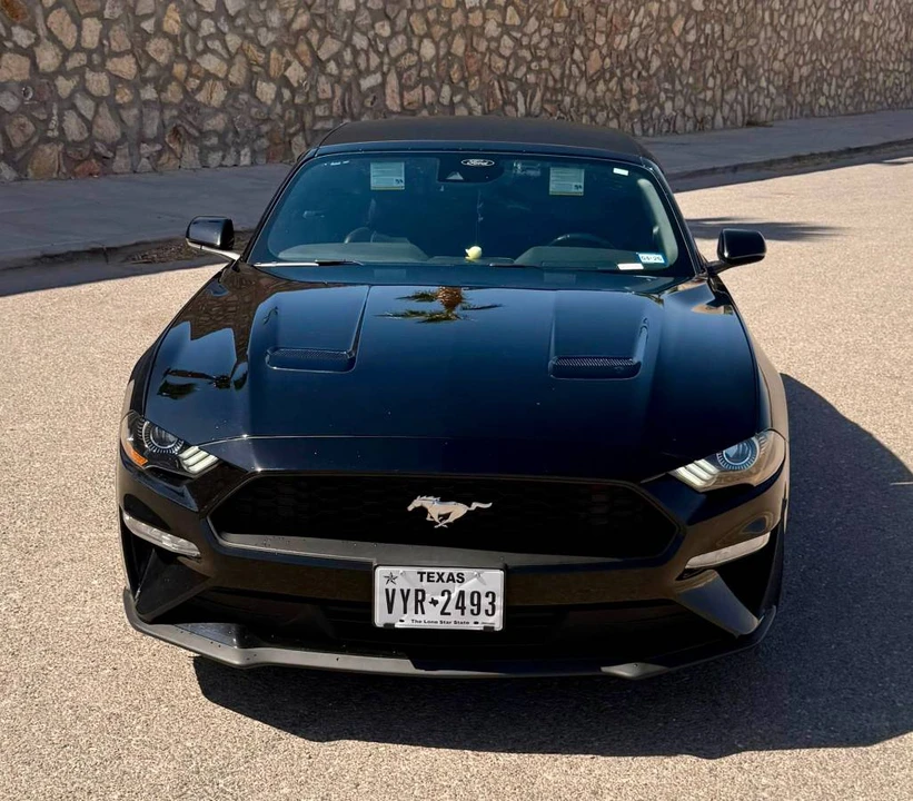2023 Ford S550 Mustang - Image 19 of 24