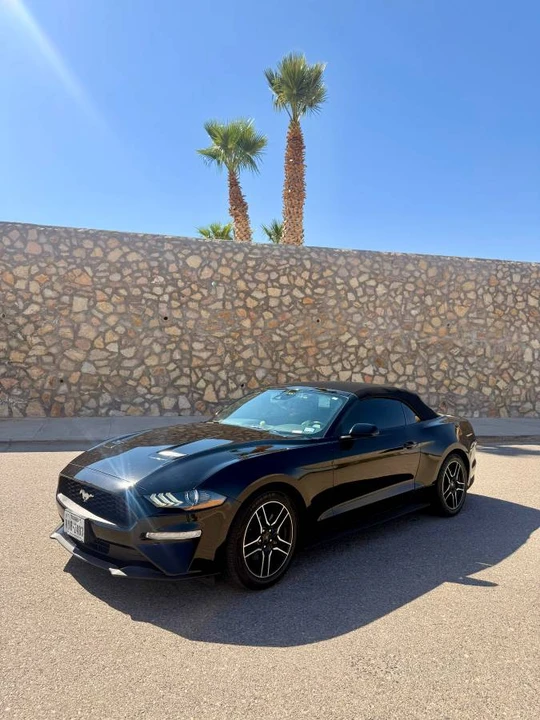 2023 Ford S550 Mustang - Image 23 of 24