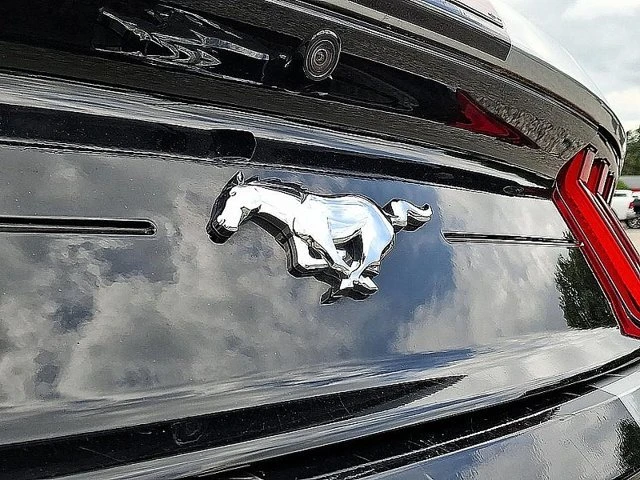 2023 Ford S550 Mustang - Image 19 of 20