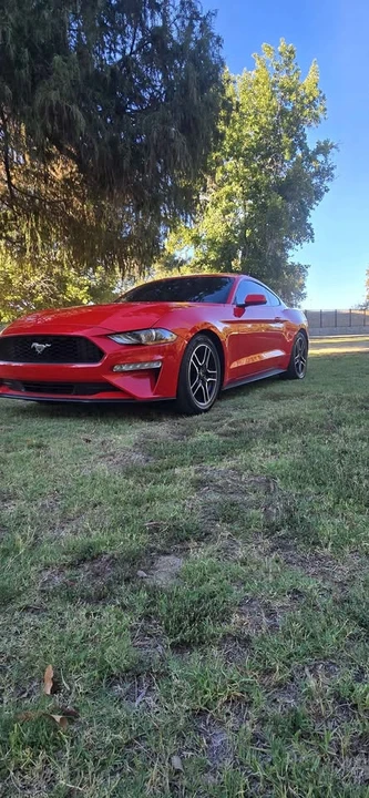 2023 Ford S550 Mustang - Image 15 of 19