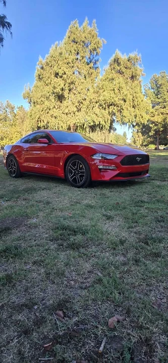 2023 Ford S550 Mustang - Image 14 of 19