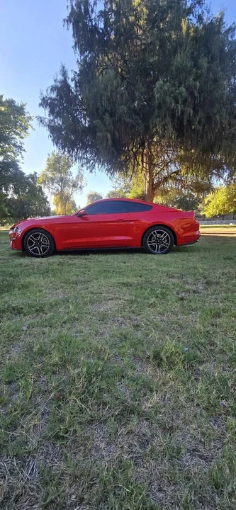 2023 Ford S550 Mustang - Image 13 of 19
