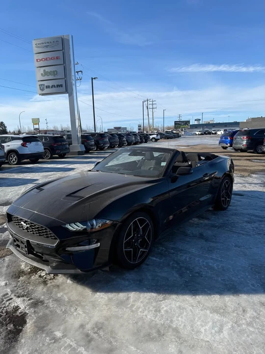 2023 Ford S550 Mustang - Image 10 of 10
