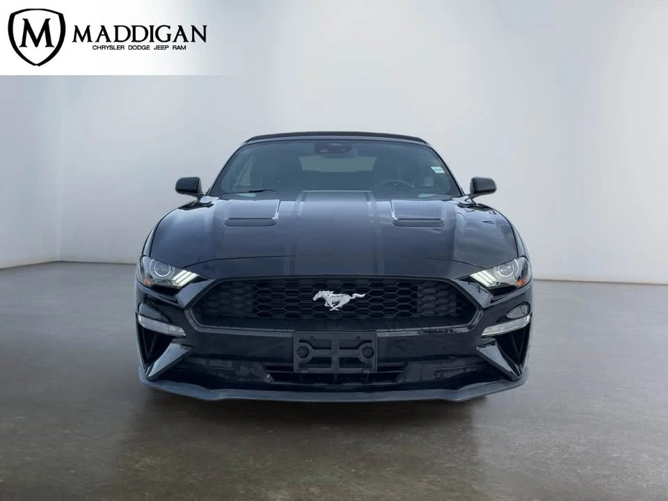 2023 Ford S550 Mustang - Image 6 of 10