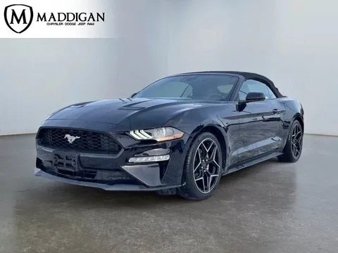2023 Ford Mustang Ecoboost