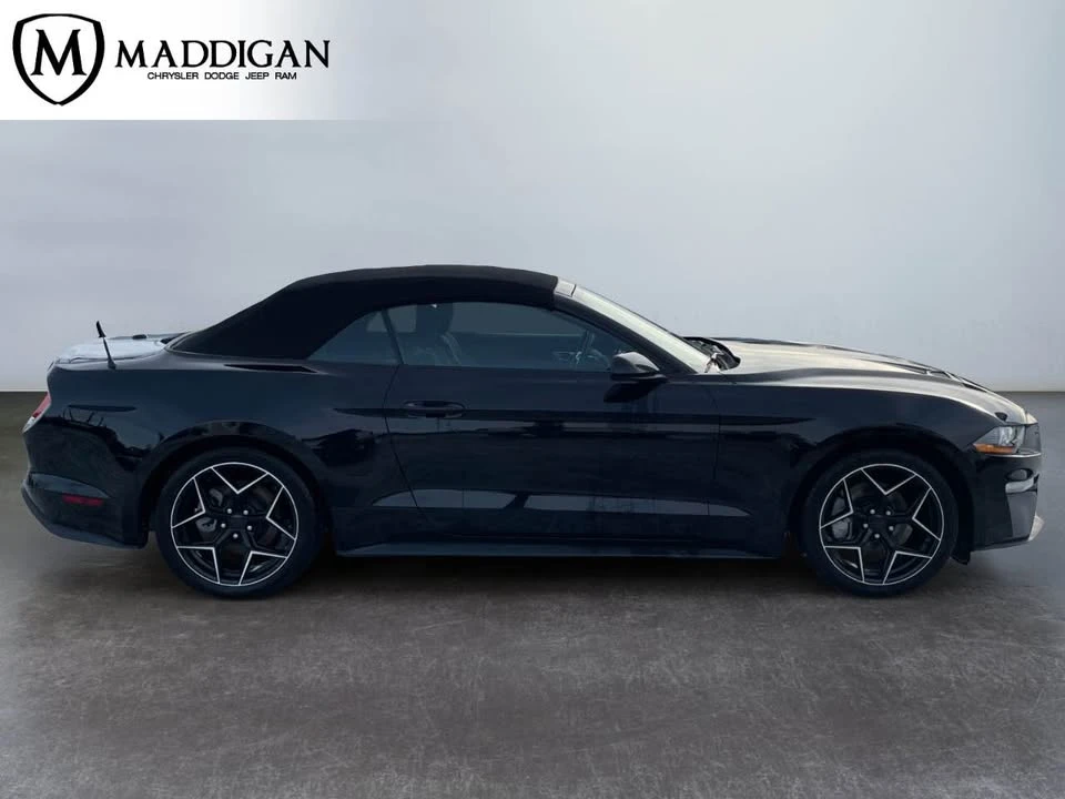 2023 Ford S550 Mustang - Image 5 of 10