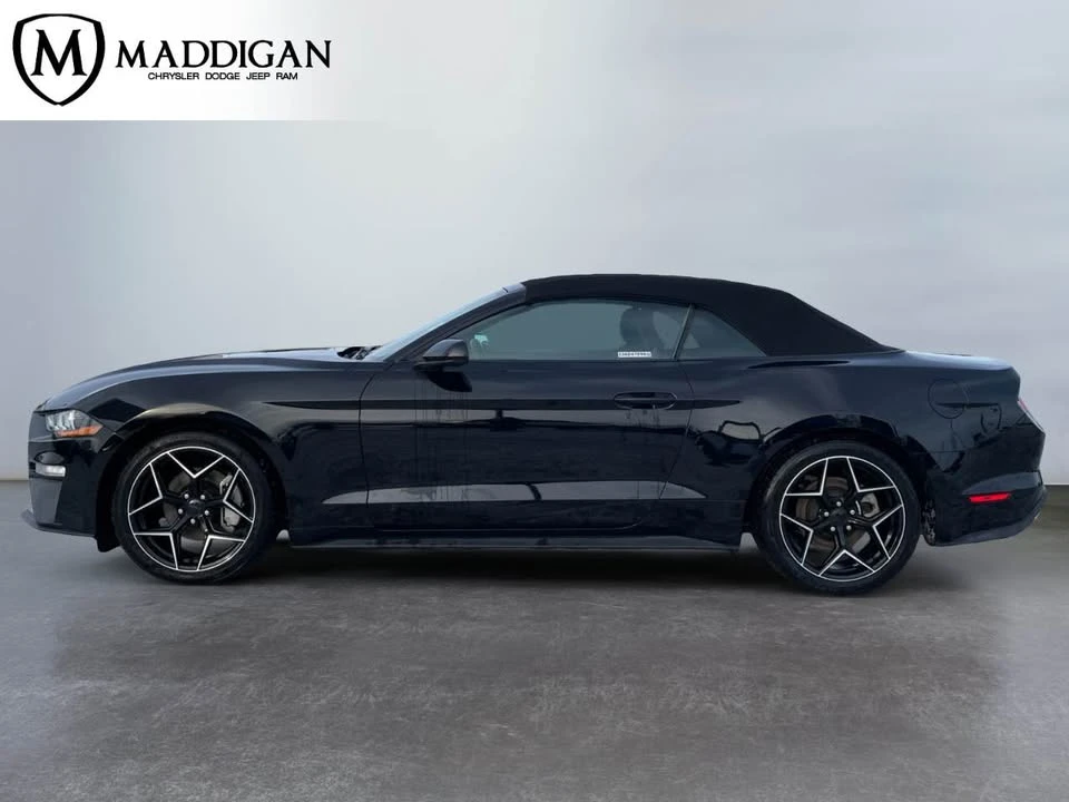 2023 Ford S550 Mustang - Image 2 of 10