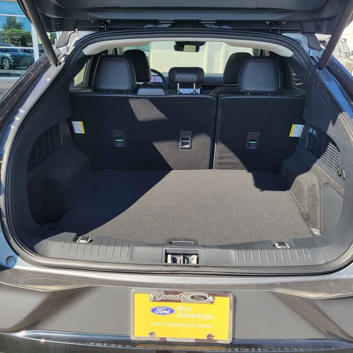 2023 Ford Mustang Mach-E - Image 10 of 19