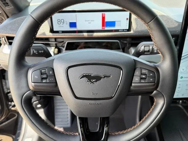 2023 Ford Mustang Mach-E - Image 17 of 19
