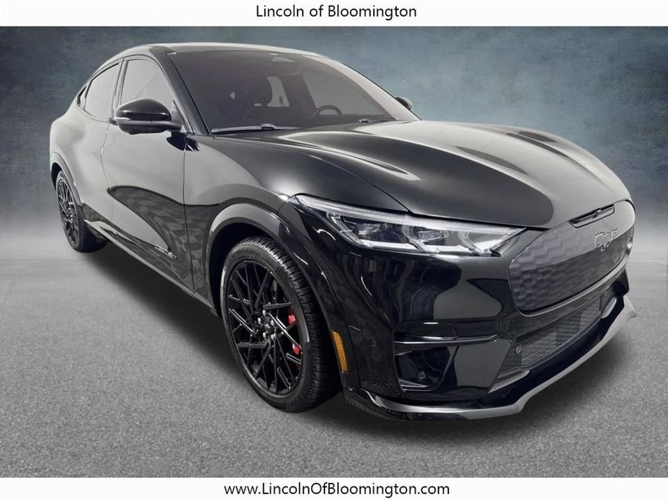 2023 Ford Mustang Mach-E - Image 10 of 10