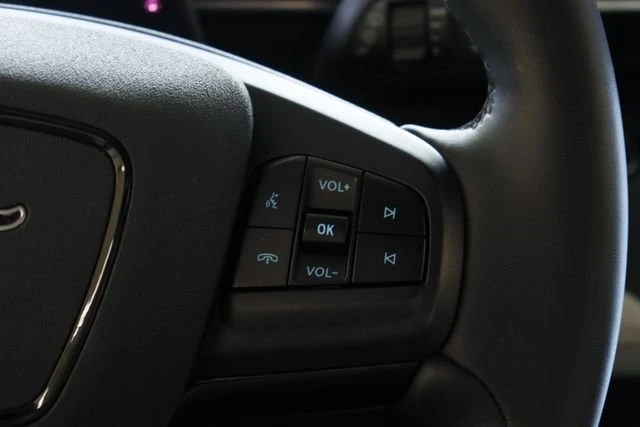 2023 Ford Mustang Mach-E - Image 15 of 20
