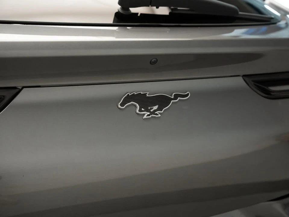 2023 Ford Mustang Mach-E - Image 10 of 10