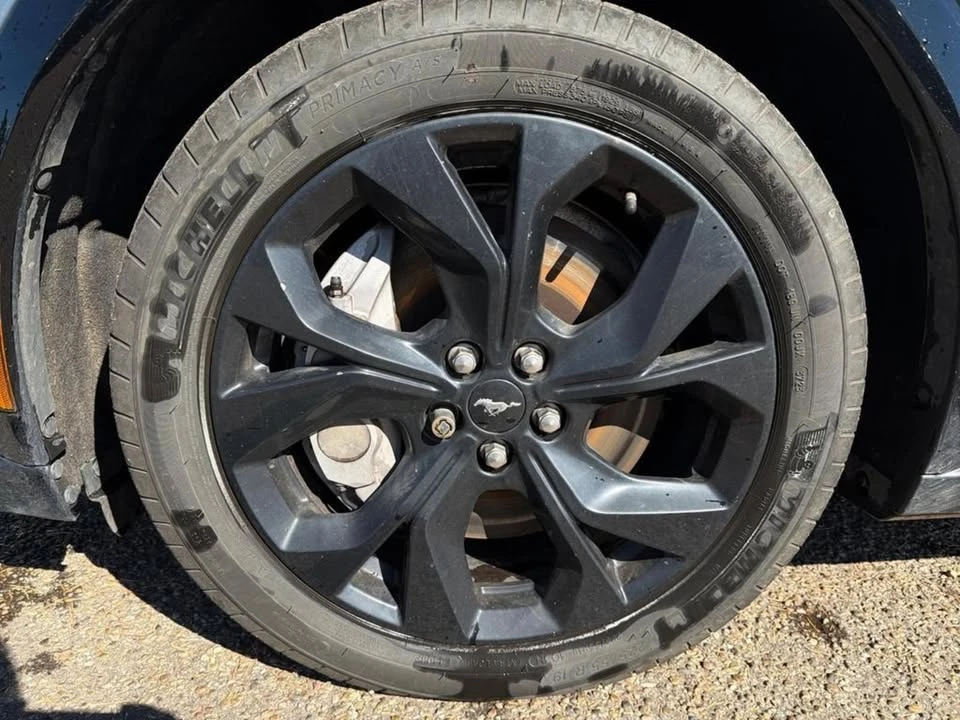 2023 Ford Mustang Mach-E - Image 5 of 15