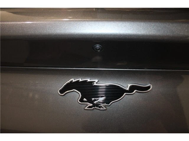 2023 Ford Mustang Mach-E - Image 17 of 20