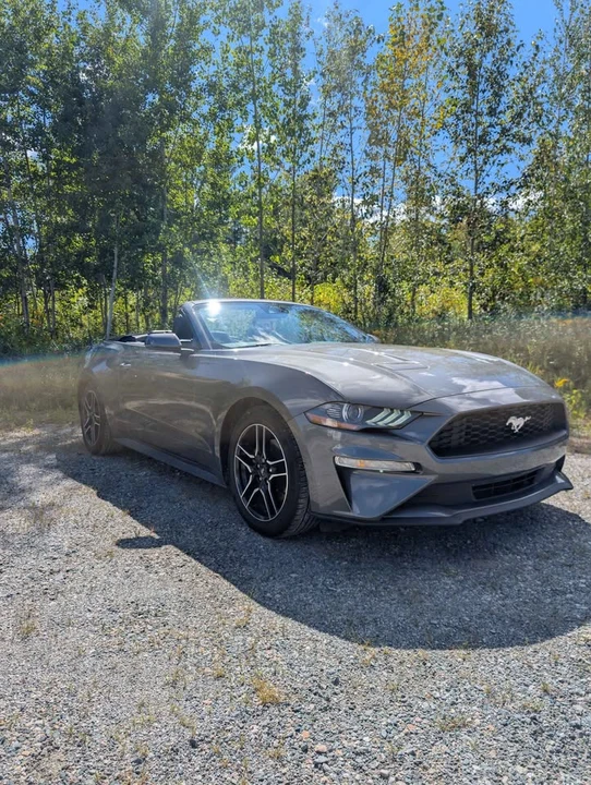 2023 Ford S550 Mustang - Image 5 of 12
