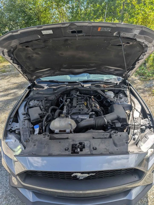 2023 Ford S550 Mustang - Image 3 of 12