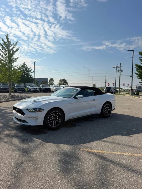 2023 Ford S550 Mustang - Image 8 of 10
