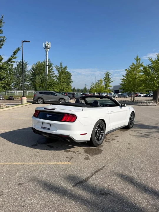 2023 Ford S550 Mustang - Image 3 of 10