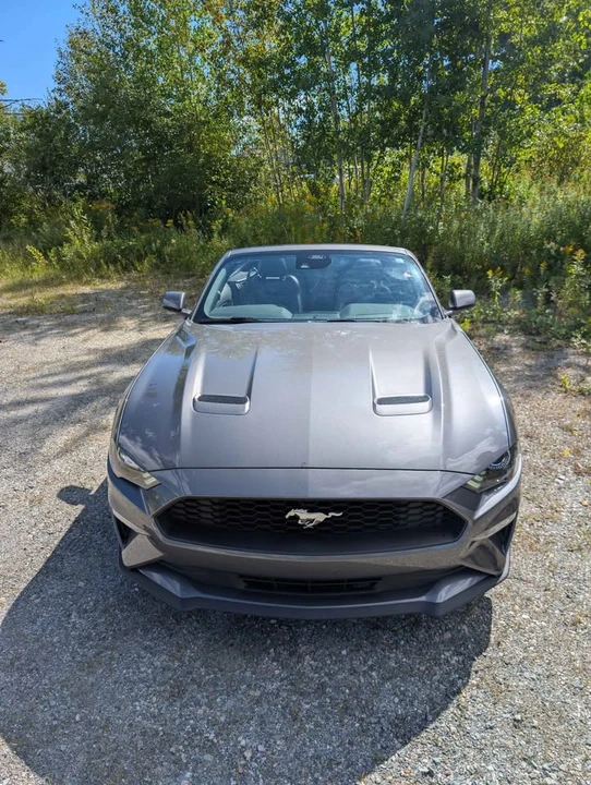 2023 Ford S550 Mustang - Image 4 of 12