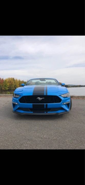 2023 Ford S550 Mustang - Image 2 of 16