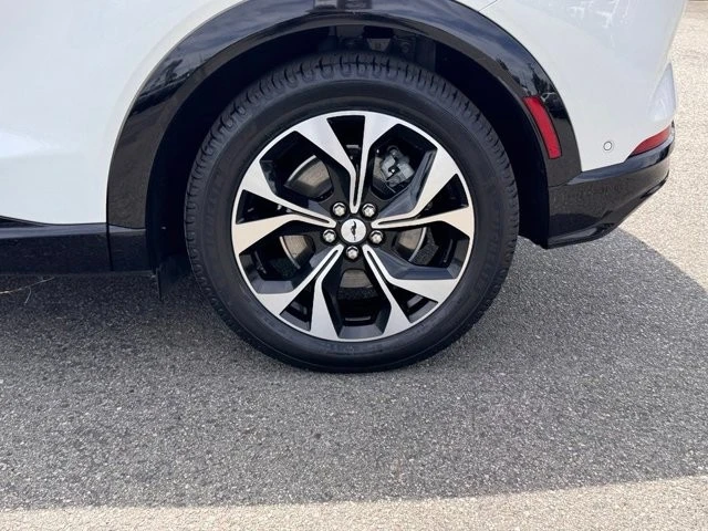 2023 Ford S550 Mustang - Image 30 of 31