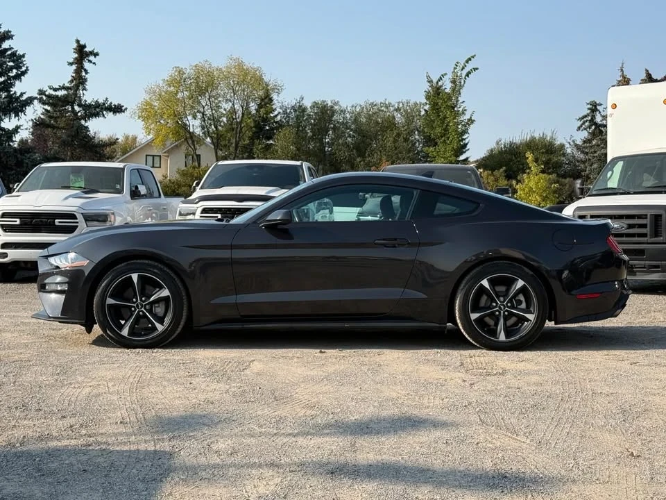 2023 Ford S550 Mustang - Image 3 of 16