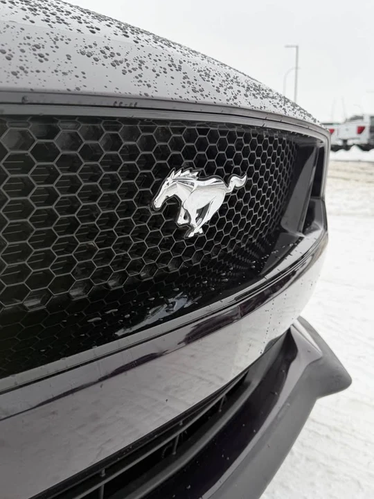 2023 Ford S550 Mustang - Image 16 of 16