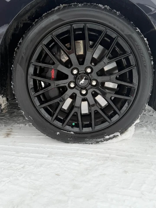 2023 Ford S550 Mustang - Image 14 of 16