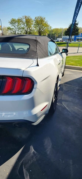 2023 Ford S550 Mustang - Image 4 of 8