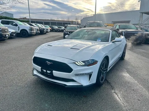 2023 Ford Mustang EcoBoost