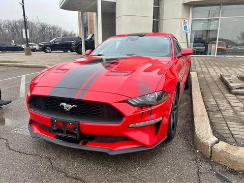 2023 Ford Mustang EcoBoost 101A