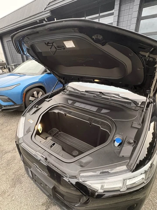2023 Ford Mustang Mach-E - Image 14 of 15