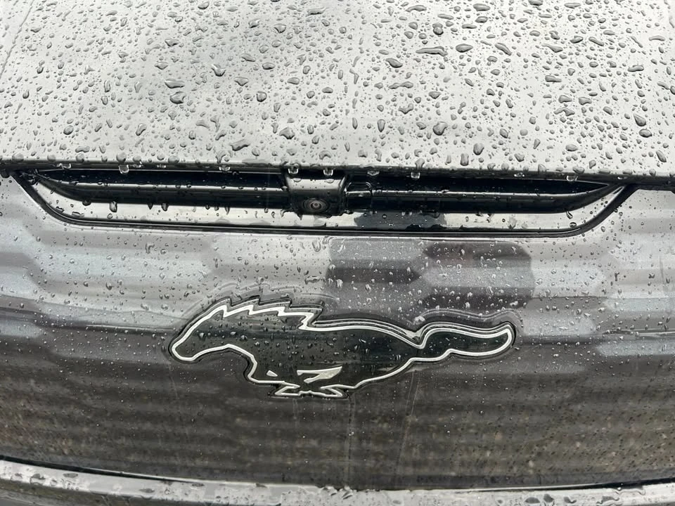 2023 Ford Mustang Mach-E - Image 4 of 12