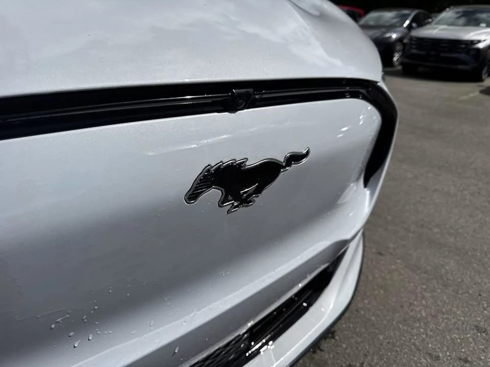 2023 Ford Mustang Mach-E - Image 9 of 20