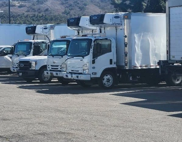 2023 Isuzu Elf - Image 6 of 31