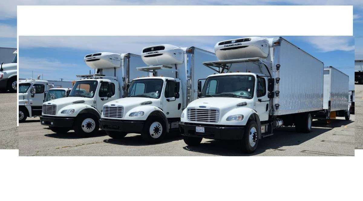 2023 Isuzu Elf - Image 5 of 31