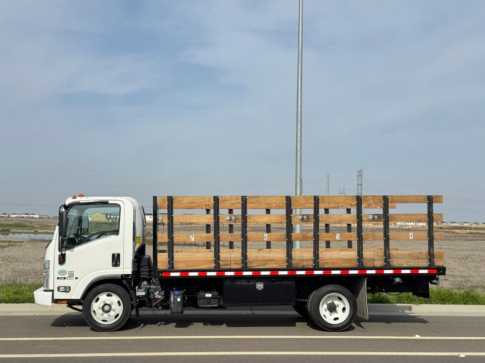 2023 Isuzu Elf - Image 2 of 14