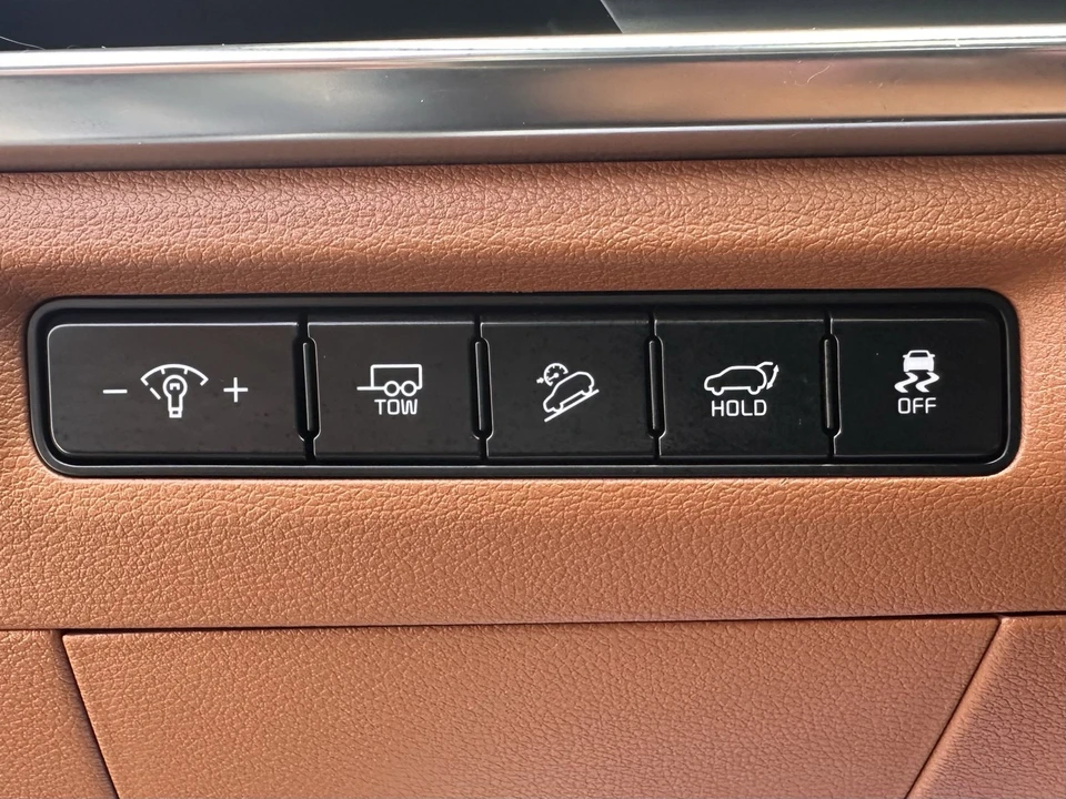 2023 Kia Telluride - Image 19 of 21