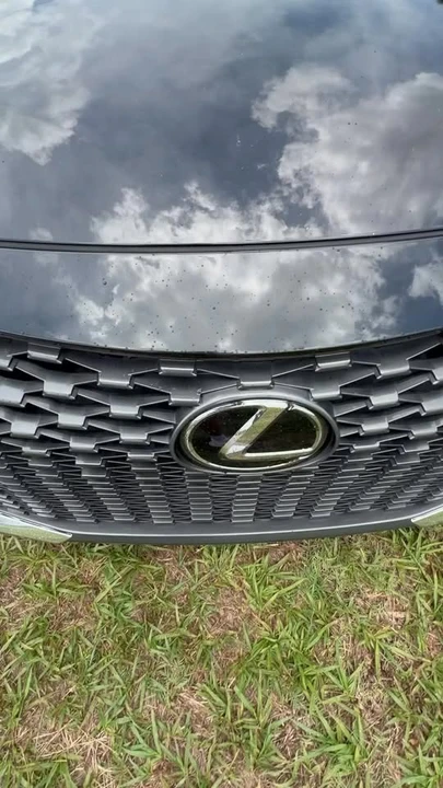 2023 Lexus IS 3rd Gen - Image 13 of 13
