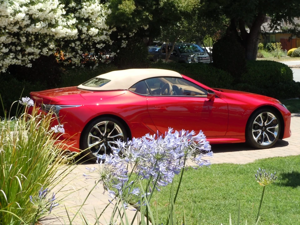 2023 Lexus LC - Image 19 of 31