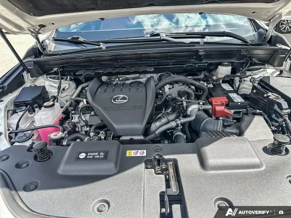 2023 Lexus NX 2nd Gen - Image 20 of 20