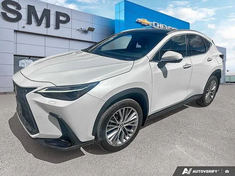 2023 Lexus NX 350