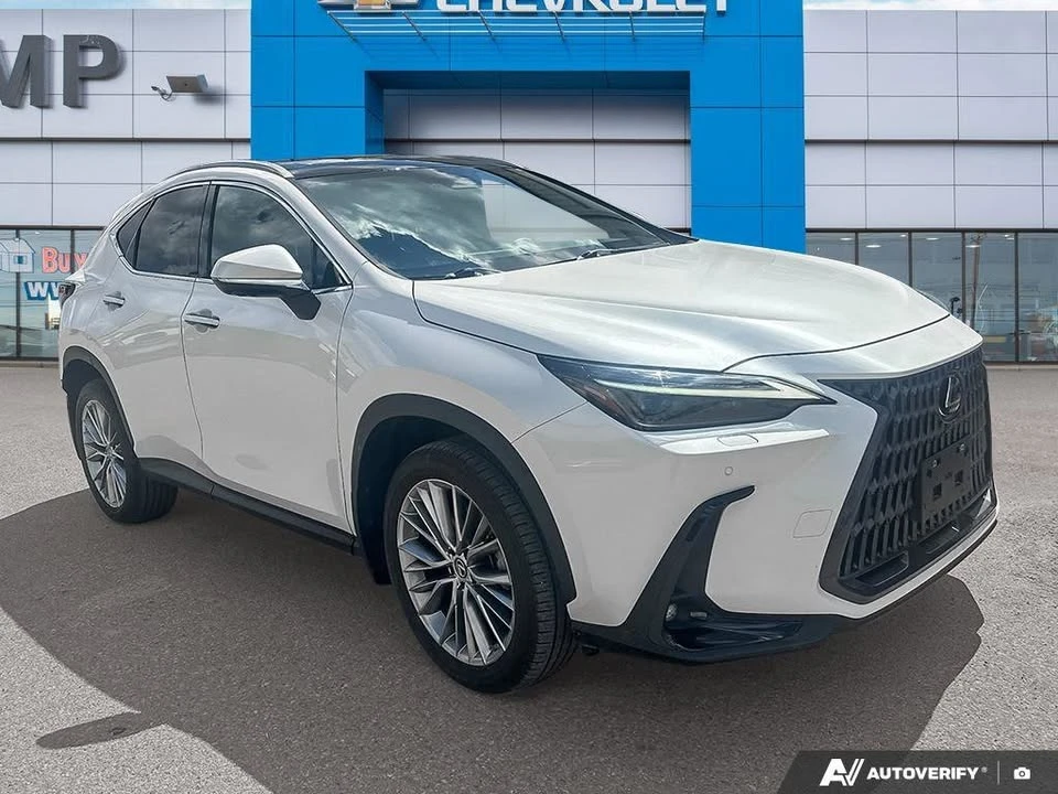 2023 Lexus NX 2nd Gen - Image 7 of 20
