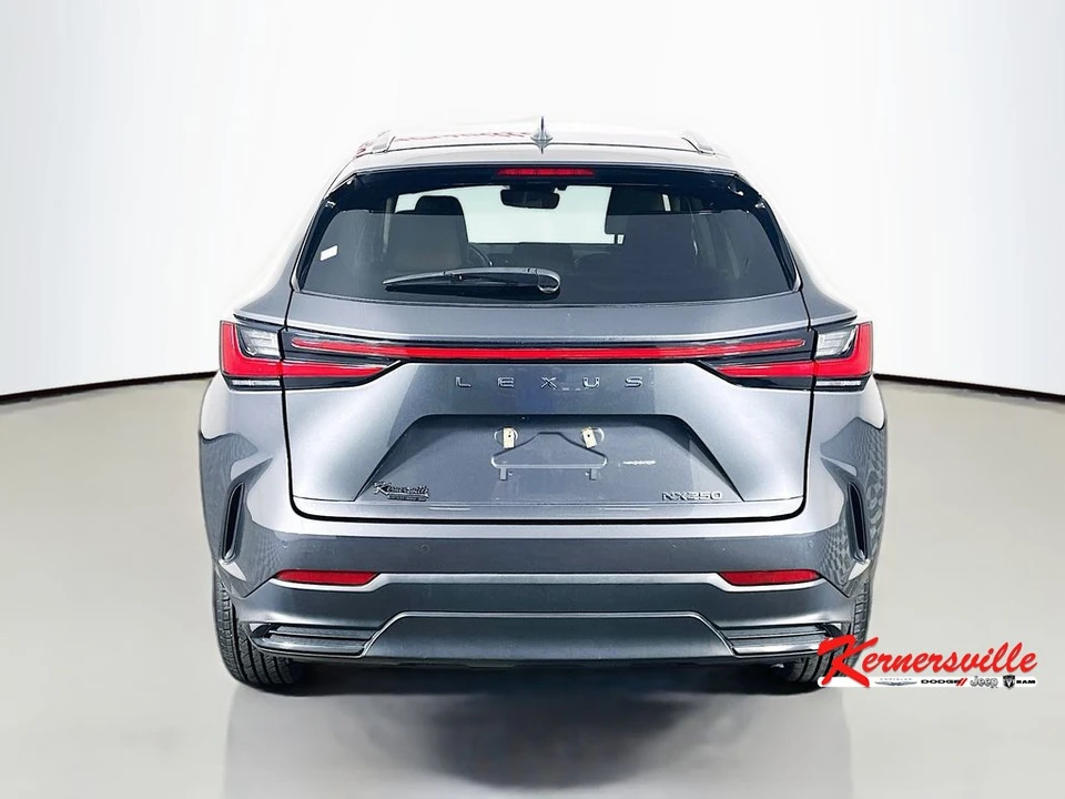 2023 Lexus NX 2nd Gen - Image 6 of 21