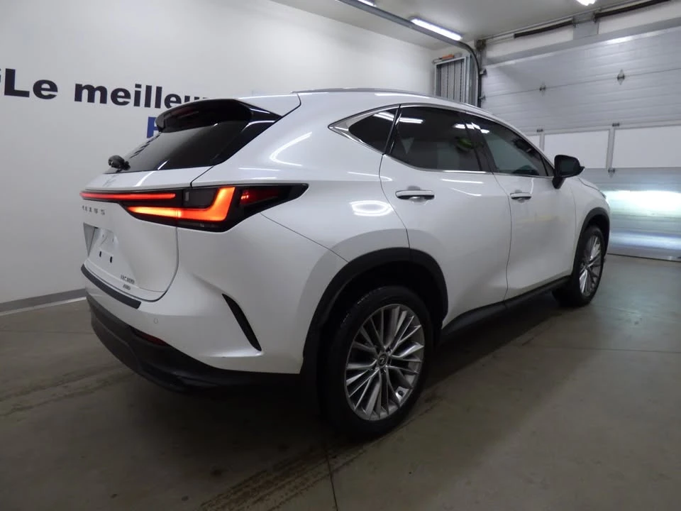 2023 Lexus NX 2nd Gen - Image 4 of 20