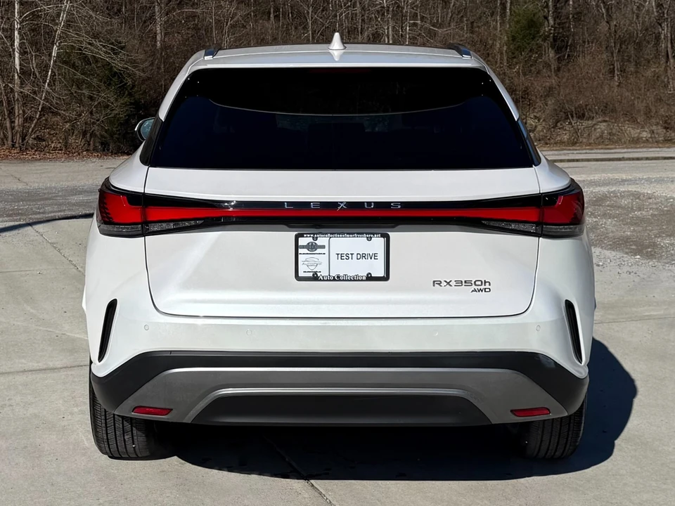 2023 Lexus RX 5th Gen - Image 6 of 12
