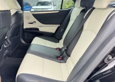 2023 Lexus ES 7th Gen - Image 13 of 13